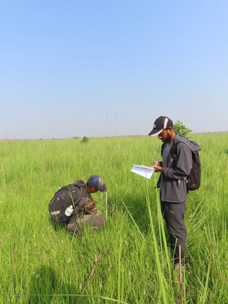Field work